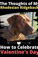 Thoughts of My Rhodesian Ridgeback af Brightview Activity Books
