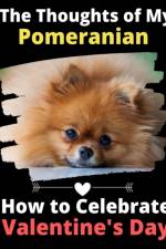 Thoughts of My Pomeranian af Brightview Activity Books