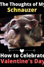 Thoughts of My Schnauzer af Brightview Activity Books