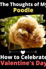 Thoughts of My Poodle af Brightview Activity Books