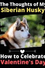 Thoughts of My Siberian Husky af Brightview Activity Books