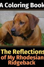 The Reflections of My Rhodesian Ridgeback af Brightview Activity Books