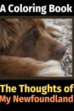 Thoughts of My Newfoundland af Brightview Activity Books