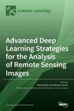 Advanced Deep Learning Strategies for the Analysis of Remote Sensing Images