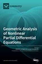 Geometric Analysis of Nonlinear Partial Differential Equations af VALENTIN LYCHAGIN