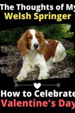 Thoughts of My Welsh Springer af Brightview Activity Books