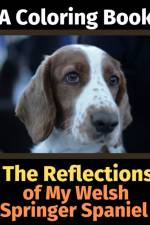 Reflections of My Welsh Springer Spaniel af Brightview Activity Books