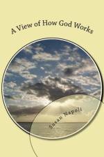 View of How God Works af Susan Devine Napoli