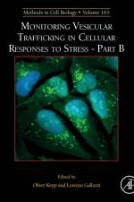Monitoring Vesicular Trafficking in Cellular Responses to Stress - Part B