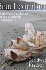 Beachcombing af Ceridwen Fraser