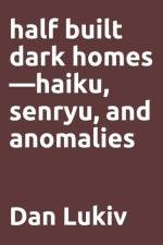 half built dark homes-haiku, senryu, and anomalies af Dan Lukiv