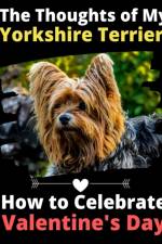 Thoughts of My Yorkshire Terrier af Brightview Activity Books