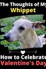 Thoughts of My Whippet af Brightview Activity Books