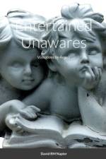 Entertained Unawares af David Napier