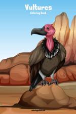 Vultures Coloring Book 1 af Nick Snels