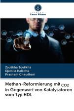 Methan-Reformierung mit CO2 in Gegenwart von Katalysatoren vom Typ HDL af Djamila Halliche