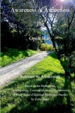 Awareness of Awareness - The Open Way af Colin Drake