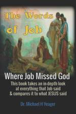Words of Job af Michael H Yeager