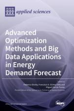 Advanced Optimization Methods and Big Data Applications in Energy Demand Forecast