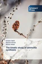 kinetic study of ammonia synthesis af Mohsin Akhtar