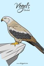 Vogels Kleurboek 1 af Nick Snels