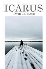 Icarus af David Gelhaus