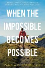 When the Impossible Becomes Possible af Pamela D Hornbuckle