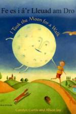 I Took the Moon for a Walk
