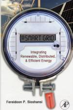 Smart Grid
