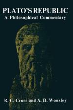 Plato's Republic af R C Cross