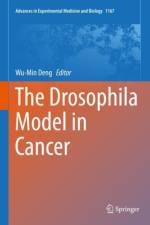The Drosophila Model in Cancer