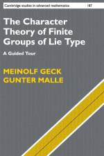 The Character Theory of Finite Groups of Lie Type af Meinolf (Universitat Stuttgart) Geck