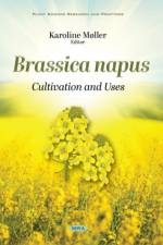 Brassica napus