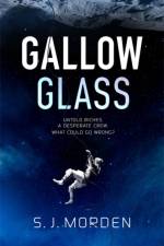 Gallowglass af S J Morden