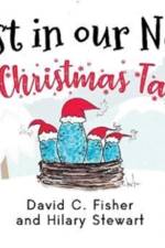 Rest in our Nest: A Christmas Tale af David C Fisher