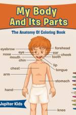 My Body And Its Parts af Jupiter Kids