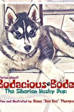 Bodacious Bode - The Siberian Husky Pup af Diane Dee Dee Thompson