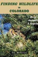 Finding Wildlife In Colorado