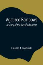 Agatized Rainbows af Harold J Brodrick