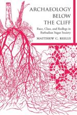 Archaeology Below the Cliff af Matthew C. Reilly