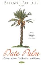 Date Palm