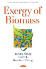 Exergy of Biomass af Yaning Zhang