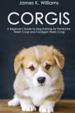 Corgis af James Williams