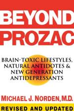 Beyond Prozac af Micheal J Norden