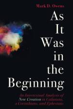 As It Was in the Beginning af Mark D Owens