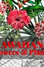 Hawaiian Flowers & Plants