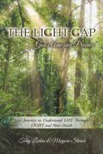 Light GAP af Terry Larkin