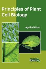 Principles of Plant Cell Biology