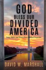 God Bless Our Divided America af David W Marshall