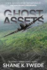 Ghost Assets af Shane K Twede